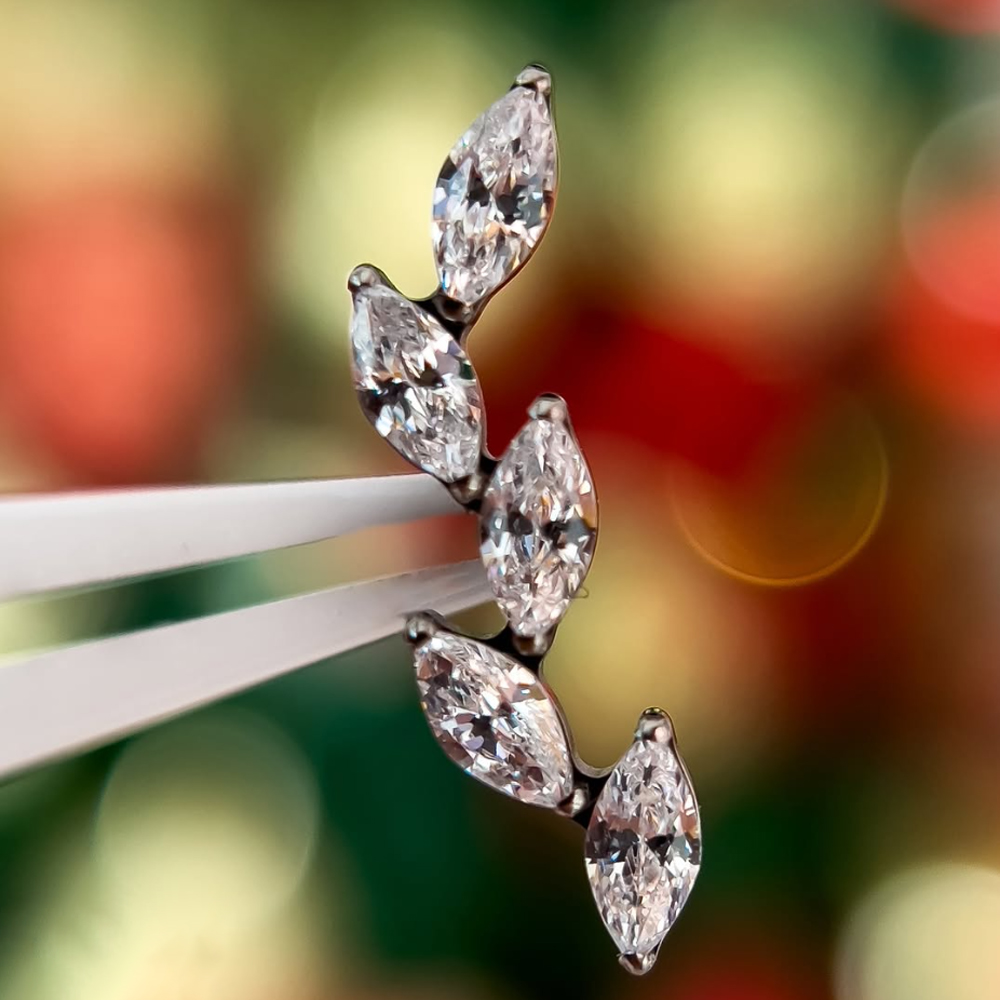 16G G23 Titanium Five Marquise - Cluster Stud Ear 评论和价格