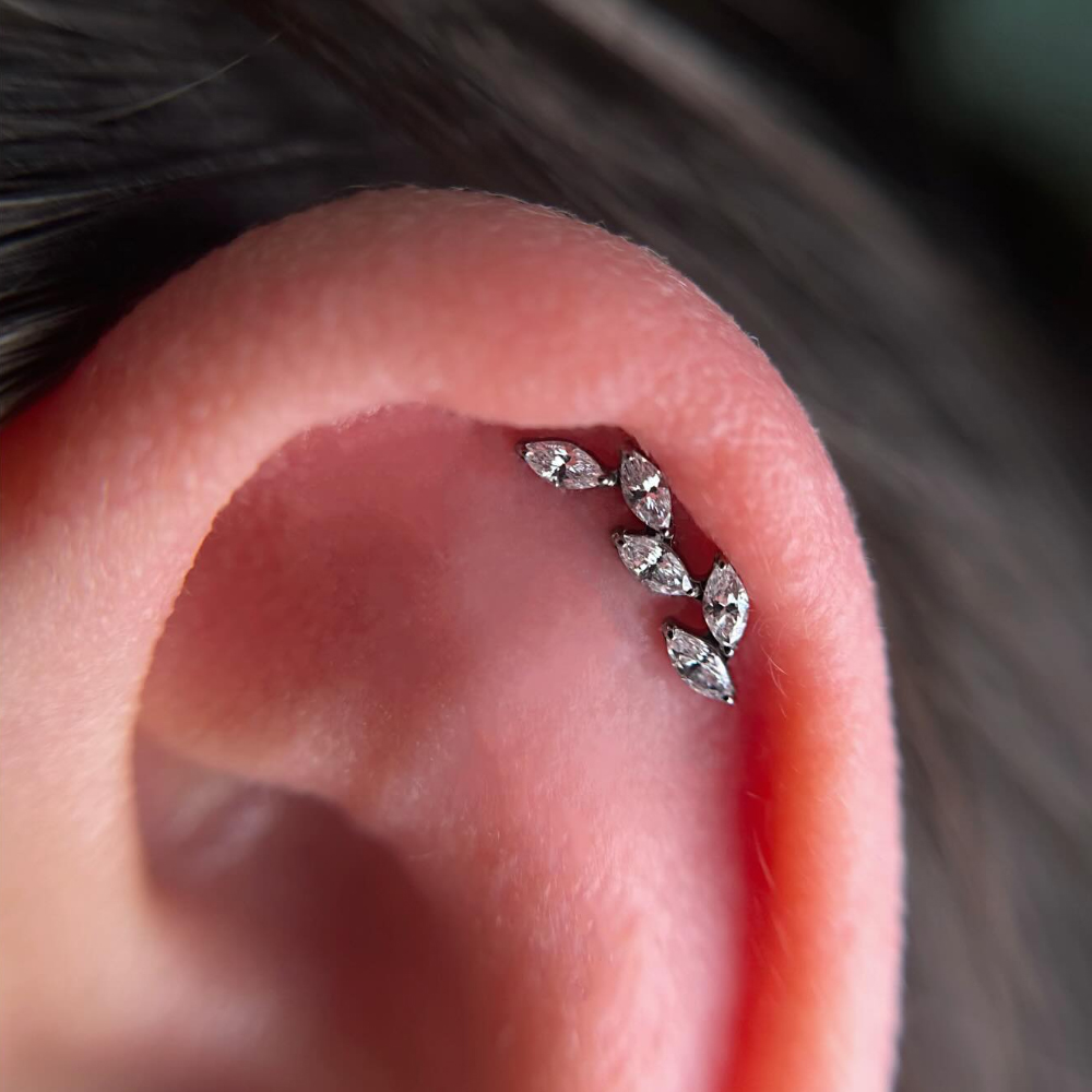 16G G23 Titanium Five Marquise - Cluster Stud Ear 评论和价格
