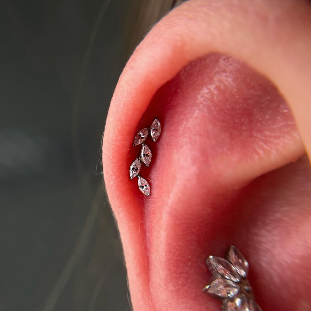 16G G23 Titanium Five Marquise - Cluster Stud Ear 评论和价格
