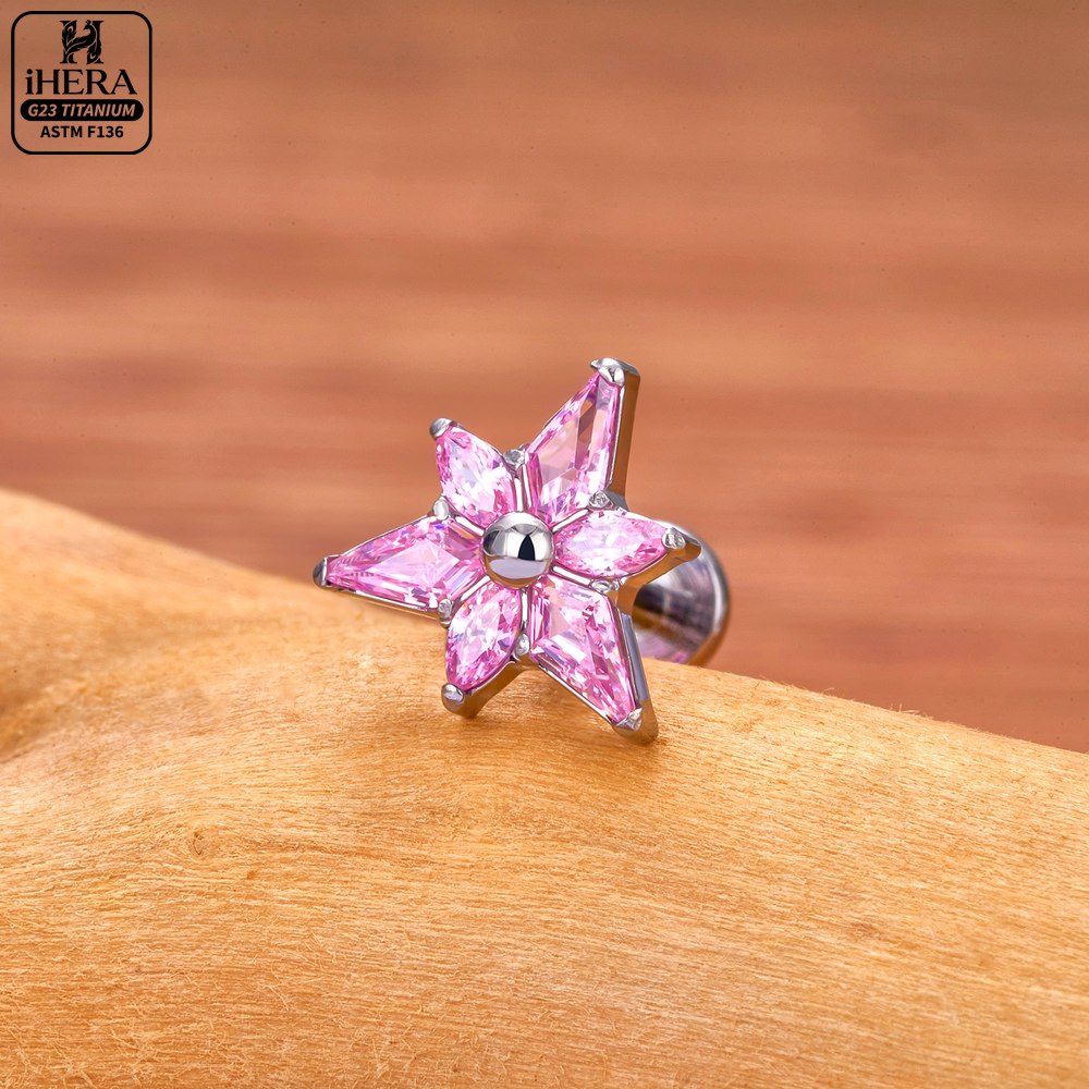 ASTM F136 Titanium Sparkly CZ  - Cluster Stud Ear 评论和价格